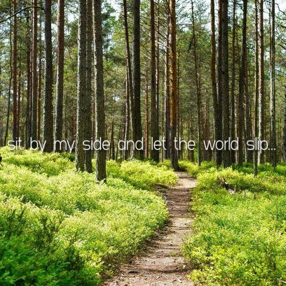 Meet your Posher, Sean - Picture 1 of 1